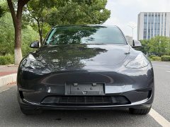 Tesla Model Y Rear-Wheel Drive - ფოტო 8