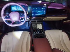 BYD Dolphin DM-i 1.5L 121km Luxury - ფოტო 11