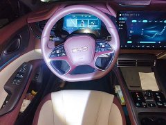 BYD Dolphin DM-i 1.5L 121km Luxury - ფოტო 12