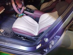 BYD Dolphin DM-i 1.5L 121km Luxury - ფოტო 17