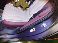 BYD Dolphin DM-i 1.5L 121km Luxury - ფოტო 19