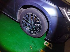 BYD Dolphin DM-i 1.5L 121km Luxury - ფოტო 9