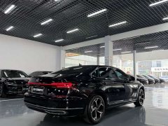 Volkswagen Passat Outstanding Edition 380TSI Starry Sky Dragon Prestige - ფოტო 5