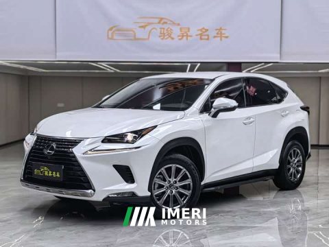 2021 Lexus NX 2020 200 FWD Sharp Edition National VI - ავტომობილი ჩინეთიდან