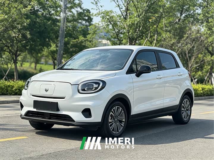 Leapmotor Leapo T03 2021 400 Comfort Edition - ავტომობილი ჩინეთიდან