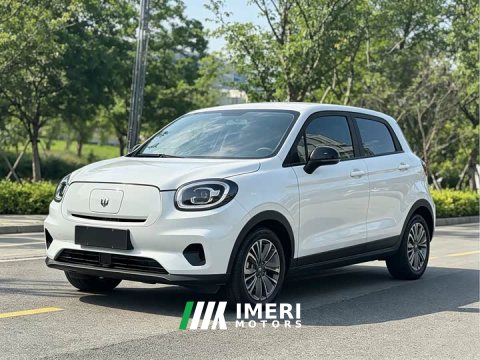 2022 Leapmotor Leapo T03 2021 400 Comfort Edition - ავტომობილი ჩინეთიდან