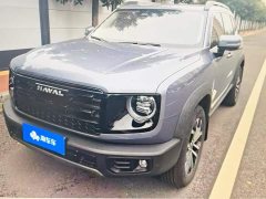 Great Wall Dachshund 2026 1.5T DCT Border Collie Edition - ფოტო 1