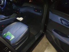 BYD Seagull Flying Edition - ფოტო 19