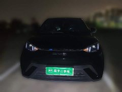 BYD Seagull Flying Edition - ფოტო 2