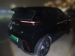 BYD Seagull Flying Edition - ფოტო 4