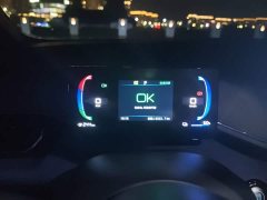 BYD Seagull Flying Edition - ფოტო 7