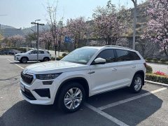 Skoda Kodiaq TSI330 5-Seater FWD Power Edition - ფოტო 1