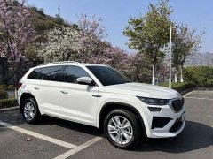 Skoda Kodiaq TSI330 5-Seater FWD Power Edition - ფოტო 3