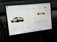 Nio Lerado L60 2024 60kWh Rear-Wheel Drive - ფოტო 15
