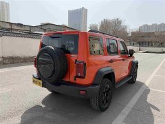 Tank 300 Off-Road Edition 2.0T Conqueror - ფოტო 16