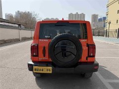 Tank 300 Off-Road Edition 2.0T Conqueror - ფოტო 17