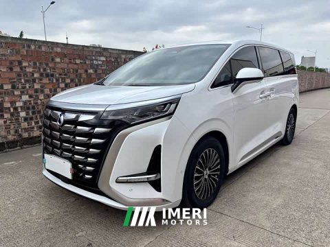 2024 Denza D9 2022 DM-i 970 AWD Flagship - ავტომობილი ჩინეთიდან
