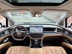 Denza D9 2022 DM-i 970 AWD Flagship - ფოტო 10