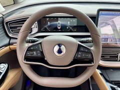 Denza D9 2022 DM-i 970 AWD Flagship - ფოტო 11