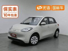 Wuling Binguo 203km Light Enjoy Edition - ფოტო 1