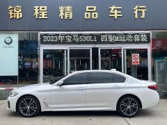 BMW 5 Series 530Li xDrive M Sport Package - ფოტო 5