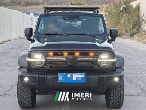 2023 Tank 300 Off-Road Edition 2.0T Challenger - ავტომობილი ჩინეთიდან