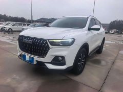 Haval H6 2023 National Trend Edition 1.5T Automatic Urban Version - ფოტო 1