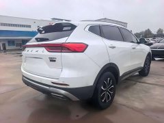 Haval H6 2023 National Trend Edition 1.5T Automatic Urban Version - ფოტო 4