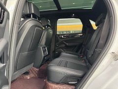 Porsche 2019 Cayenne 3.0T - ფოტო 16