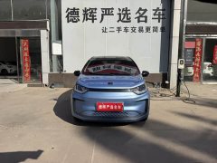 Flower Fairy Anniversary Edition 306km Lavender 30kW - photo 1