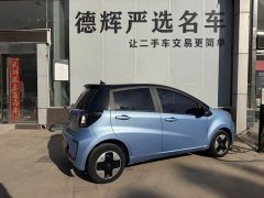 Flower Fairy Anniversary Edition 306km Lavender 30kW - photo 3