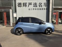 Flower Fairy Anniversary Edition 306km Lavender 30kW - photo 4