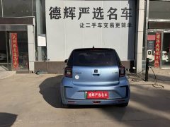 Flower Fairy Anniversary Edition 306km Lavender 30kW - photo 8
