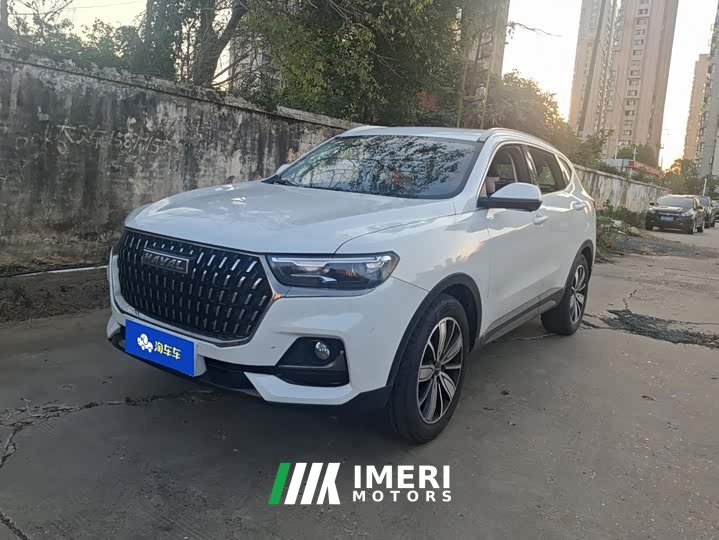 Haval H6 National Trend Edition 1.5T Automatic Champion Version - ავტომობილი ჩინეთიდან