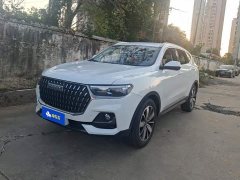 Haval H6 National Trend Edition 1.5T Automatic Champion Version - ფოტო 1