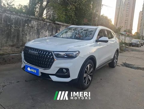 2023 Haval H6 National Trend Edition 1.5T Automatic Champion Version - ავტომობილი ჩინეთიდან
