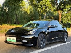 Tesla Model 3 Standard Range RWD Upgrade - ფოტო 1