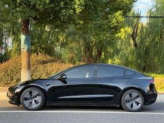 Tesla Model 3 Standard Range RWD Upgrade - ფოტო 2