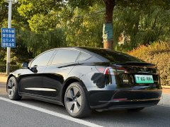 Tesla Model 3 Standard Range RWD Upgrade - ფოტო 3