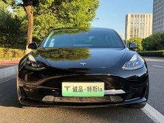 Tesla Model 3 Standard Range RWD Upgrade - ფოტო 7