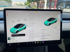 Tesla Model 3 Standard Range RWD Upgrade - ფოტო 17
