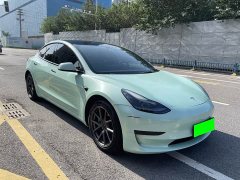 Tesla Model 3 Standard Range RWD Upgrade - ფოტო 2