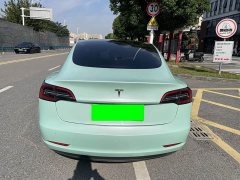 Tesla Model 3 Standard Range RWD Upgrade - ფოტო 6