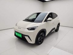 BYD Seagull 2025 305km Freedom Edition - ფოტო 1