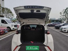 BYD Seagull 2025 305km Freedom Edition - ფოტო 15