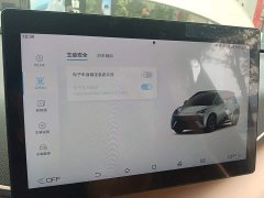 BYD Seagull 2025 305km Freedom Edition - ფოტო 20