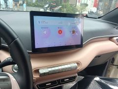 BYD Seagull 2025 305km Freedom Edition - ფოტო 9