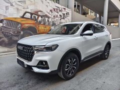 Haval H6 2023 National Trend Edition 1.5T Automatic Urban Version - ფოტო 1