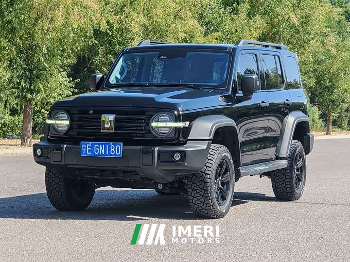 Tank 300 Off-Road Edition 2.0T Conqueror - ავტომობილი ჩინეთიდან