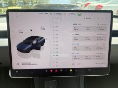 Tesla Model 3 Rear-Wheel Drive - ფოტო 10
